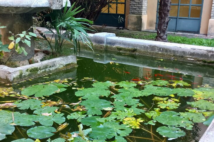 fontana chiostro